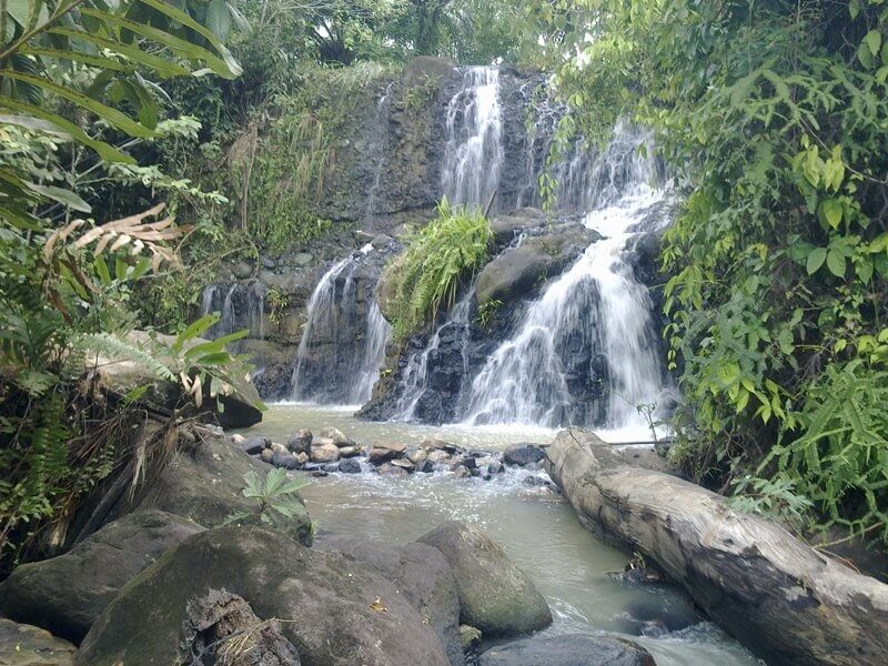 Tawau Rainforest Waterfalls