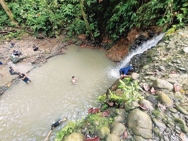 Hutan Simpan Tajong