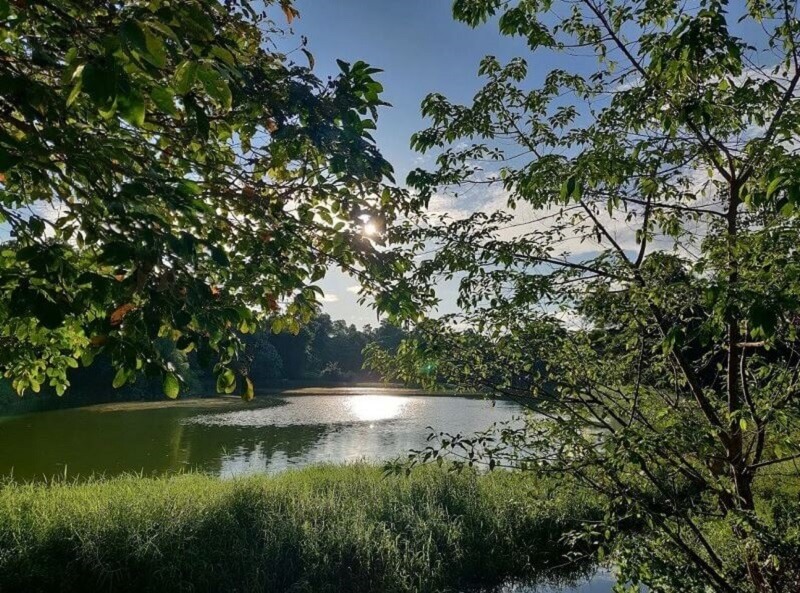 Segamat River Bank Mirror Lake