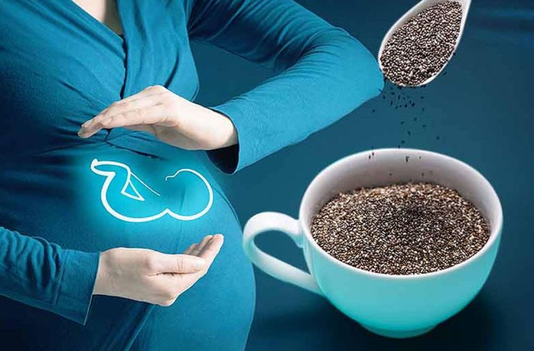 kebaikan chia seed untuk ibu mengandung