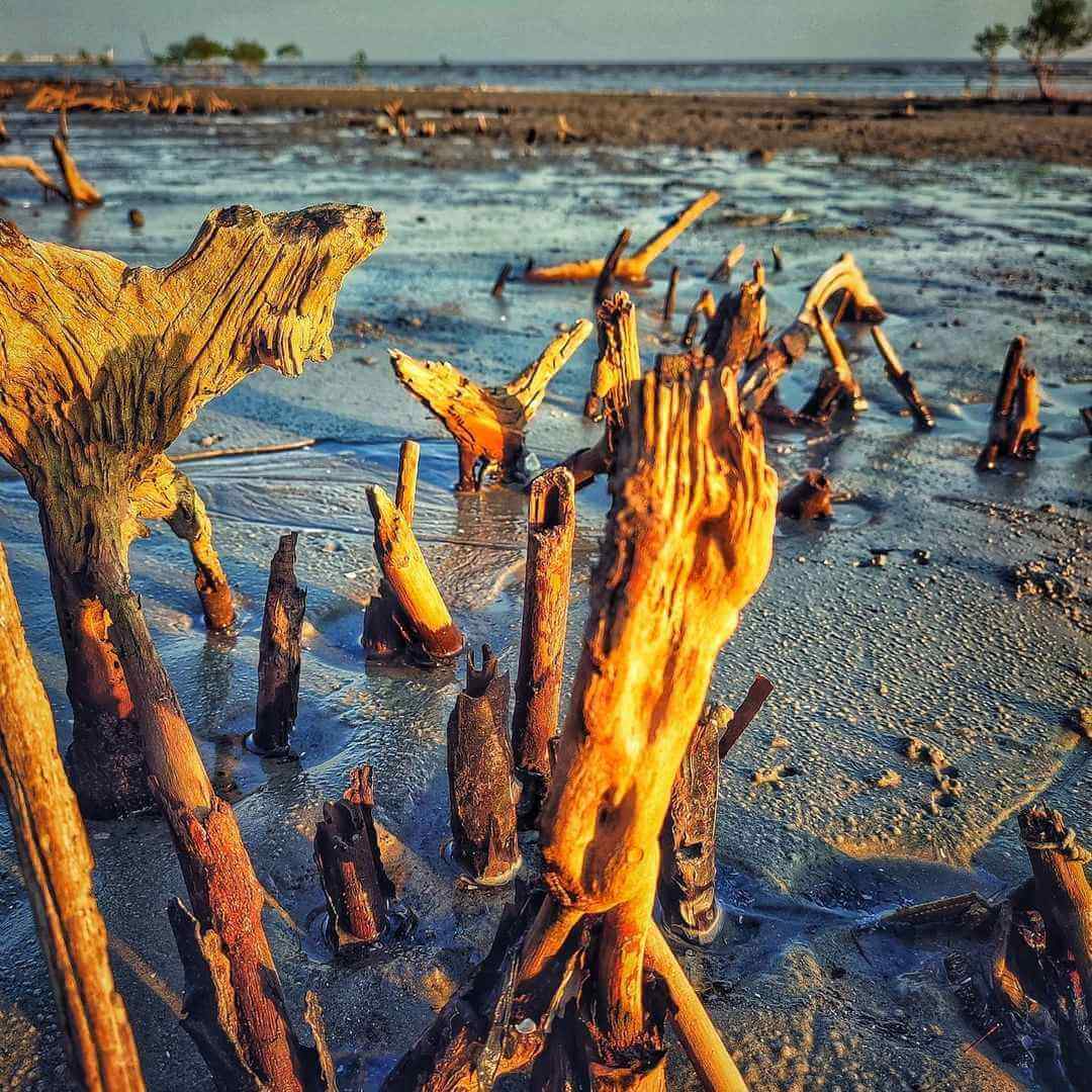 pantai cantik di selangor