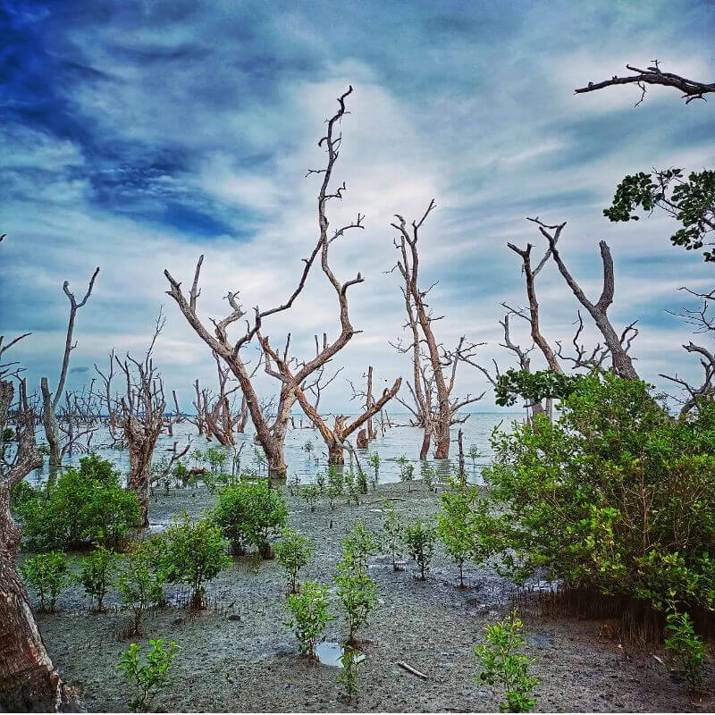 pantai pasir panjang