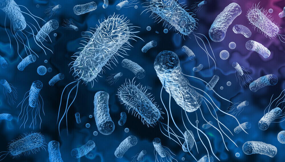 bakteria dan virus yang menjadi punca berlakunya gegata