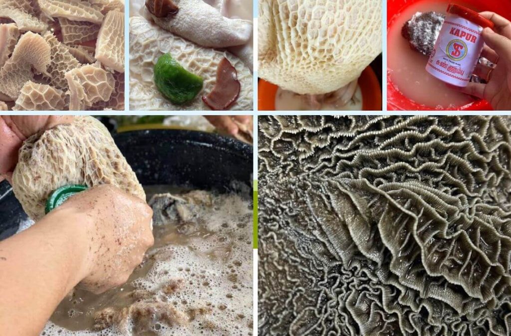 cara cuci perut lembu