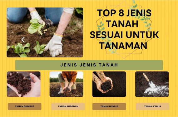 jenis tanah