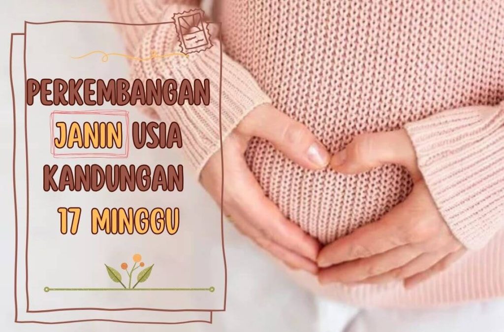 kandungan 17 minggu