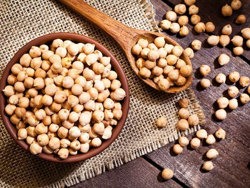 manfaat kacang kuda