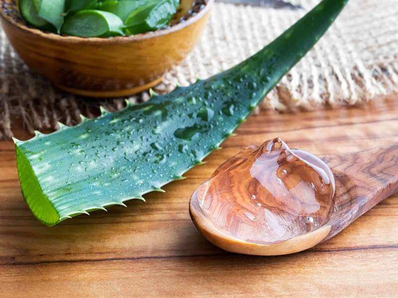 krim aloe vera