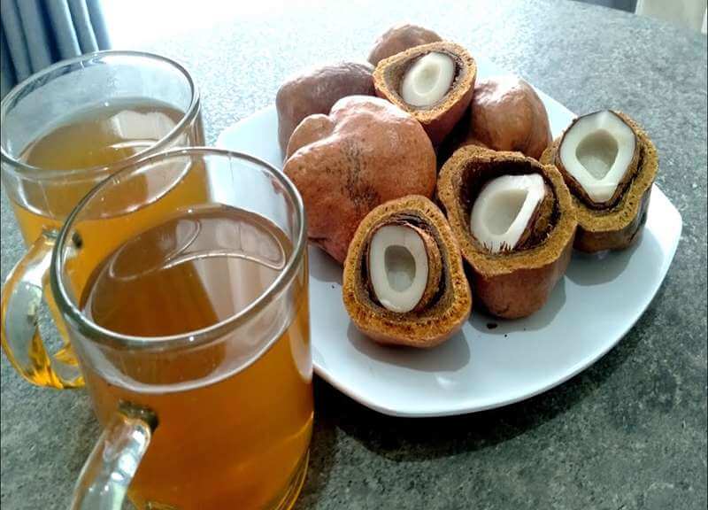 kandungan buah zuriat