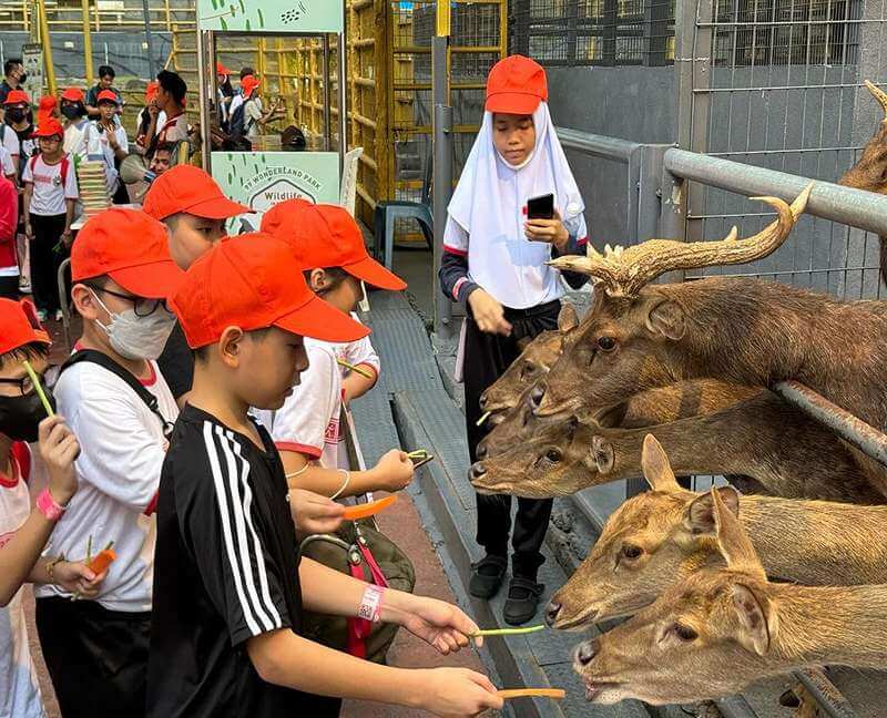 99 Wonderland Park - Petting Zoo Selangor