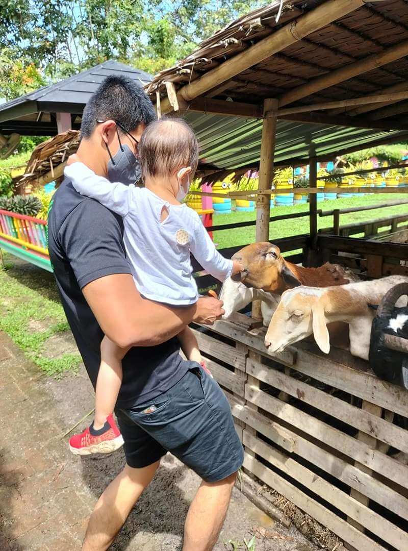 Kuala Selangor Cabin Camp (KSCC) - Petting Zoo Selangor