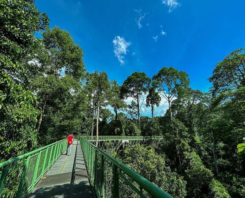 Rainforest Discovery Centre