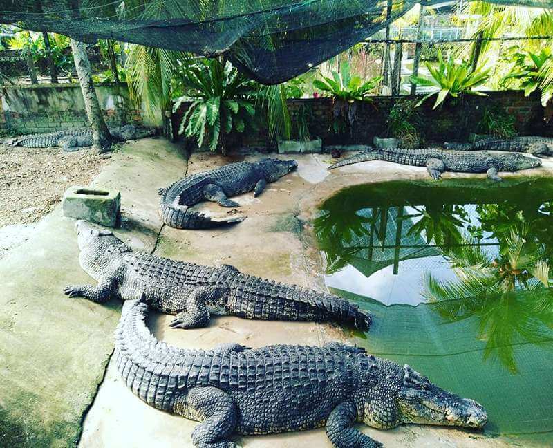 Taman Buaya Sandakan