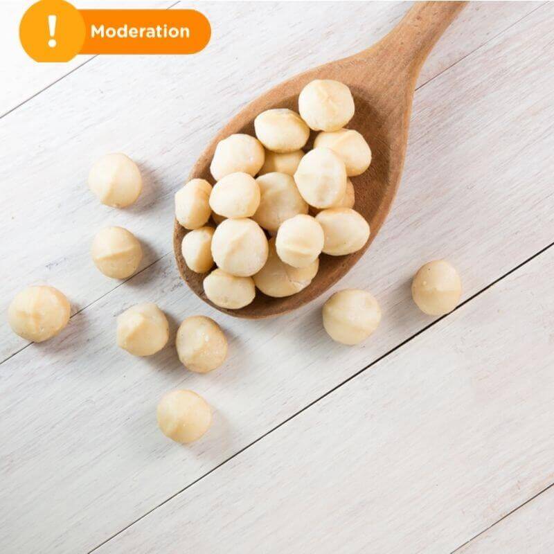 Kacang Macadamia