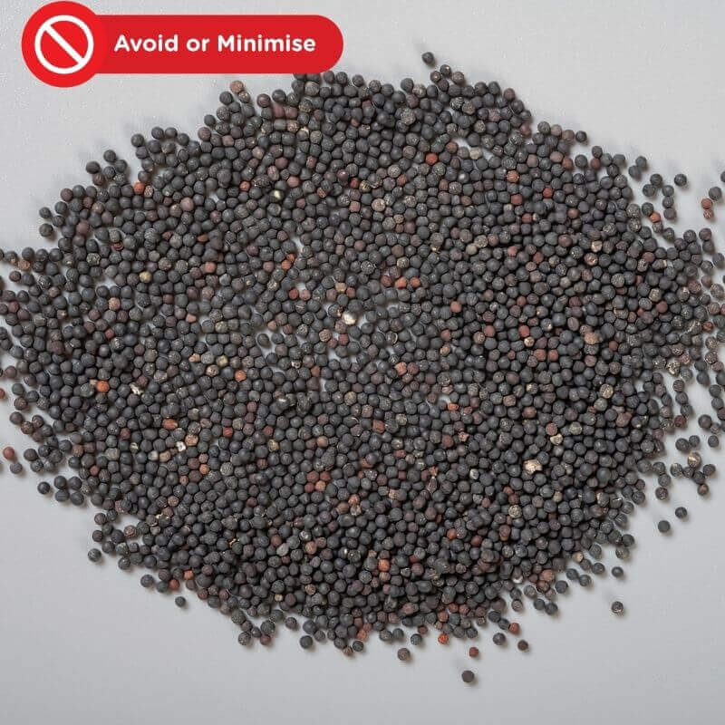 Wang Bu Liu Xing atau Cowherb seed (Vaccaria Segetalis)