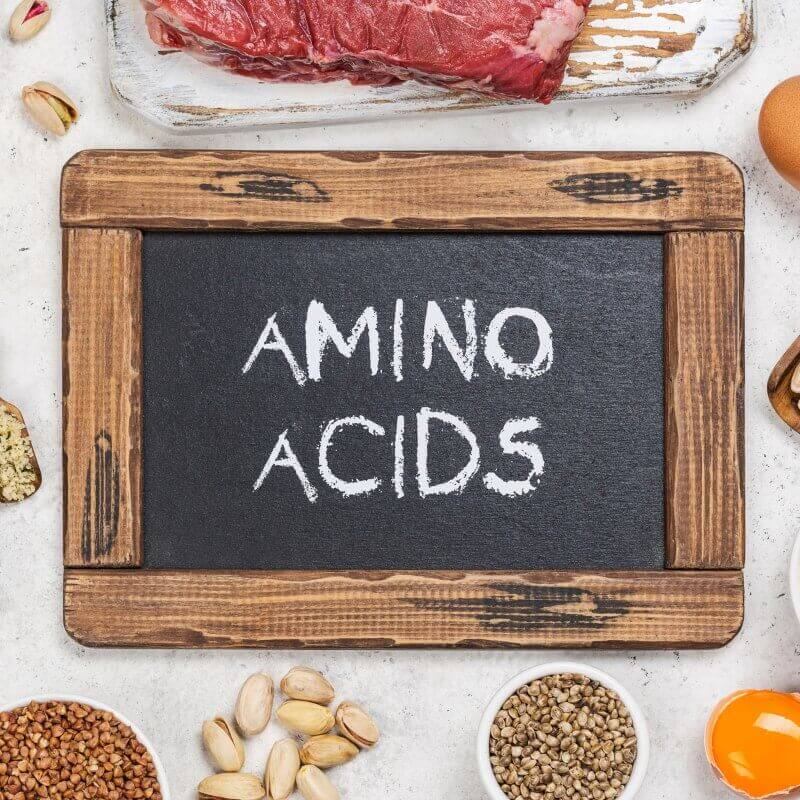 Asid Amino