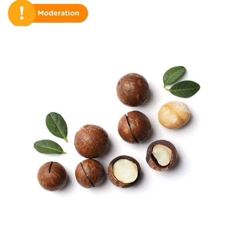 Kacang Macadamia