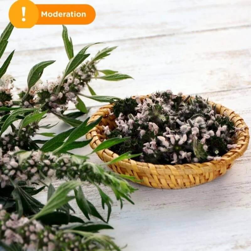 Motherwort atau Kacang Ma