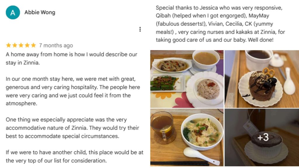 review zinnia 1
